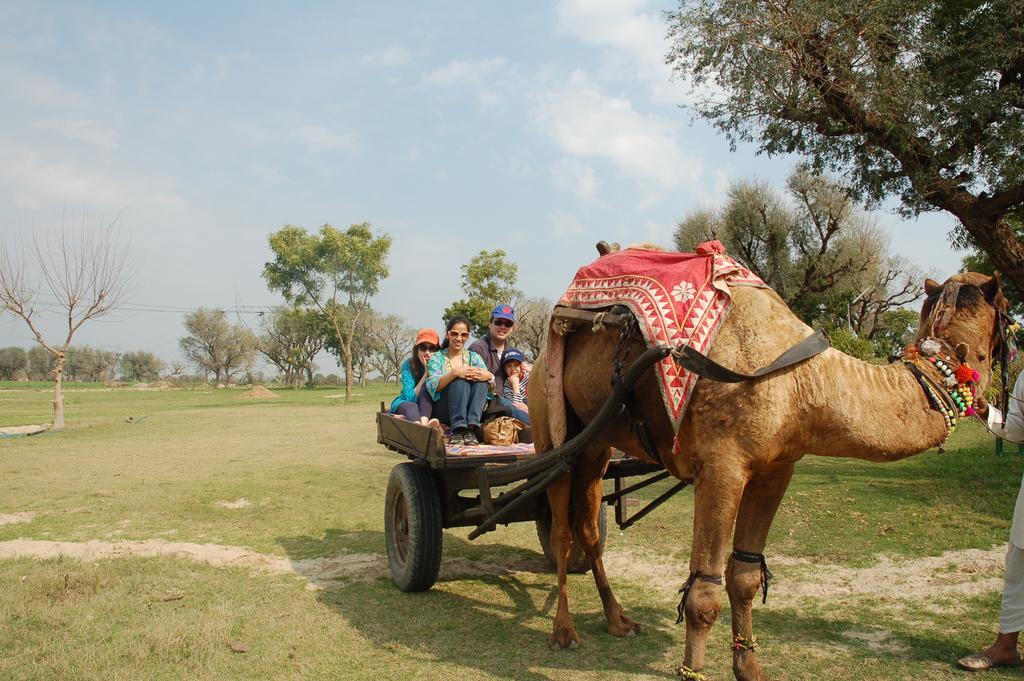 فندق Savista Retreat جايبور المظهر الخارجي الصورة