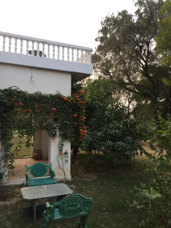 فندق Savista Retreat جايبور المظهر الخارجي الصورة